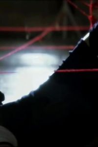 Catherine Zeta Jones, She Dips Beneath Lasers, In Entrapment