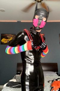 Latest Photos Of Me In Pup Gear