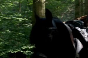 Laura Donnelly – Outlander – S01E14